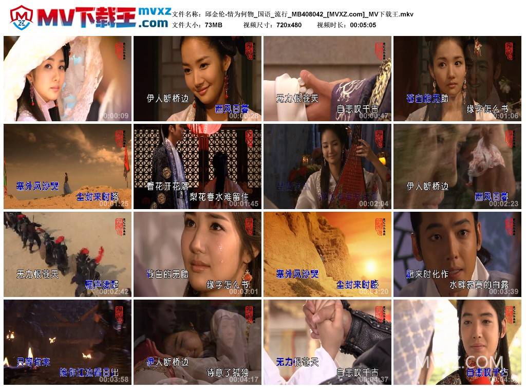 邱金伦-情为何物_国语_流行_MB408042